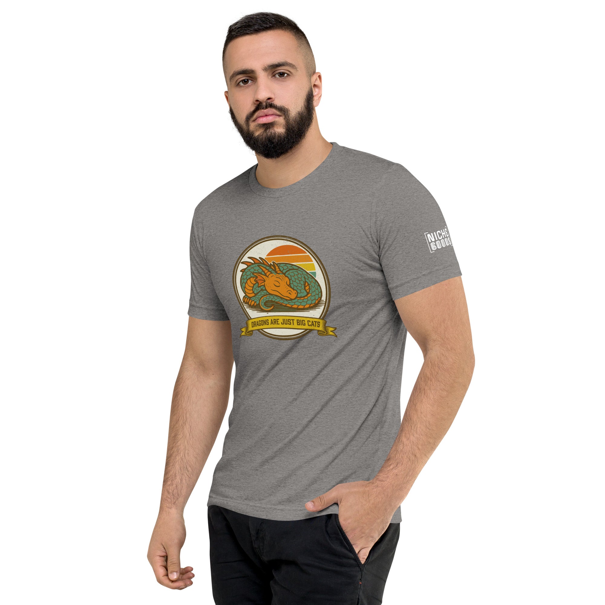 Dragons are Just Big Cats T-Shirt- funny tshirt by Niche Goods