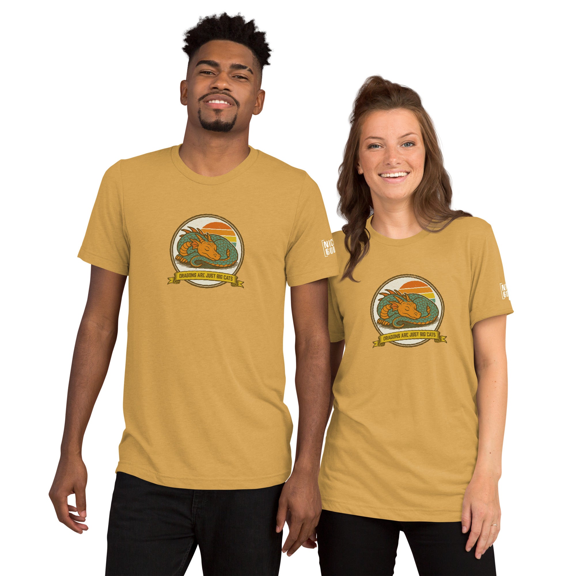 Dragons are Just Big Cats T-Shirt- funny tshirt by Niche Goods