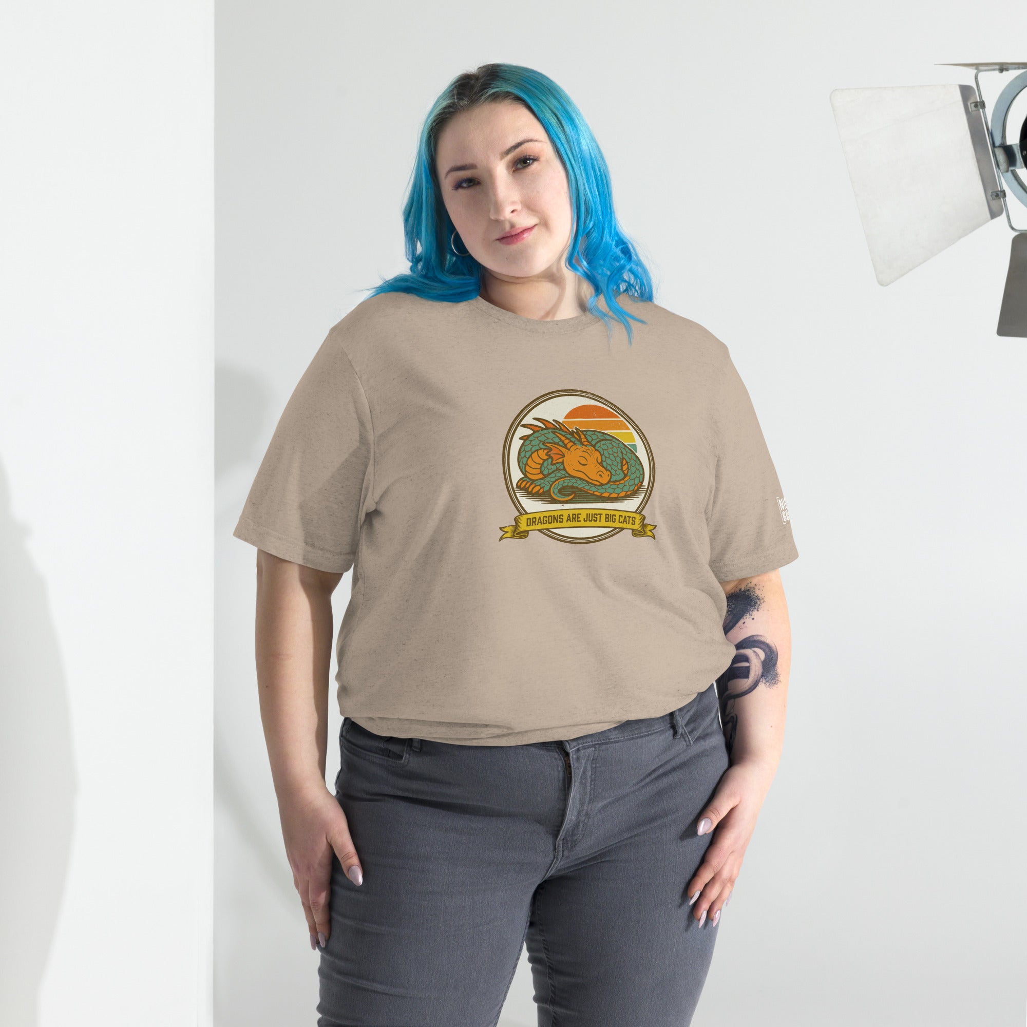 Dragons are Just Big Cats T-Shirt- funny tshirt by Niche Goods