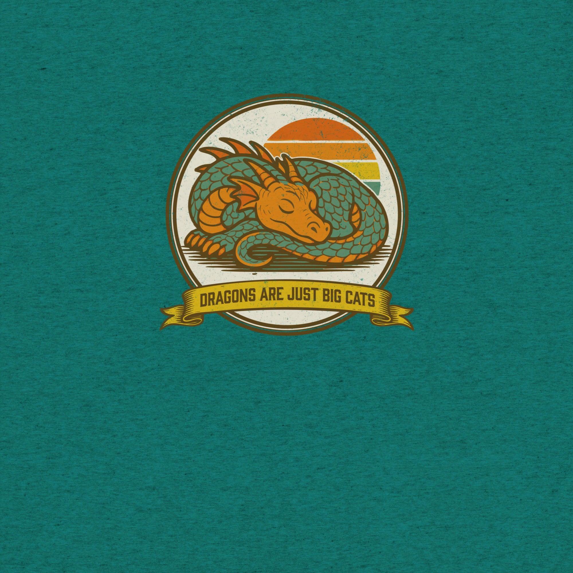 Dragons are Just Big Cats T-Shirt- funny tshirt by Niche Goods
